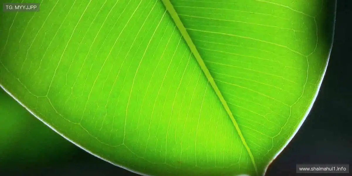 🏃 赛道上的每一步，都值得被见证！